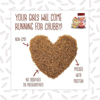 5Lb Chubby Dried Mealworms High Protein Treat for Chickens, Ducks & Birds