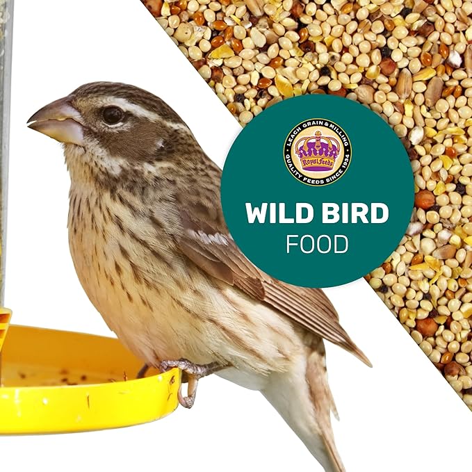 Wild Bird Seed 5 Lbs, Premium Mixed Wild Birdseeds, Nut Free Mix Feed, Nutrient-Rich Birdseeds, Supports Daily Energy Growth & Healthy Balanced Diet, Bird Seed for Outside Feeders
