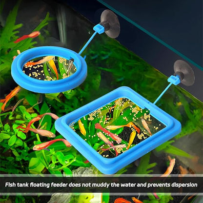 4 Pcs Fish Feeding Ring for,Prevent Water Turbulence from Washing Food Into Filter,Betta Feeding Ring,Feeding Ring for Fish Tank,Aquarium Feeding Ring Betta Guppy Goldfish and Other Small Fishes