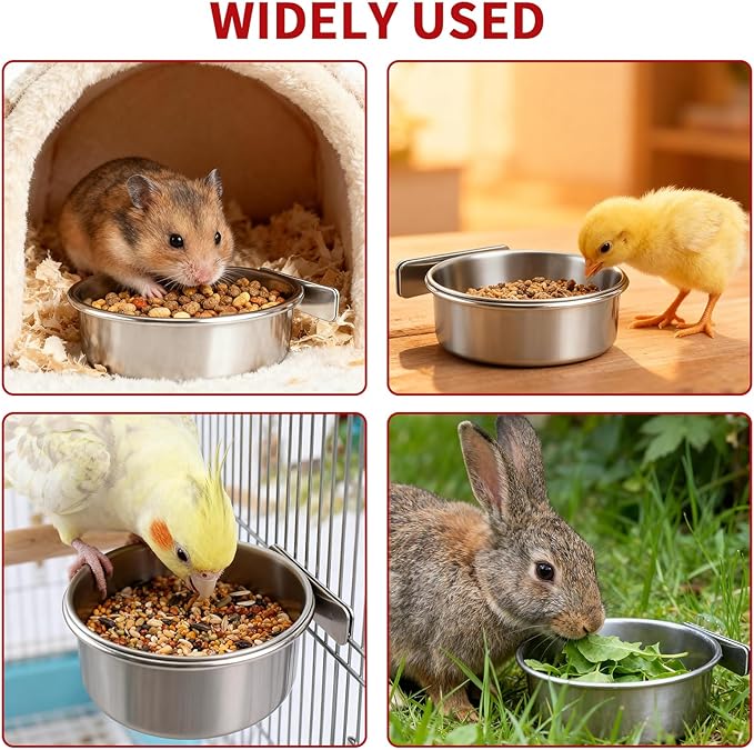 TBWHL Parrot Feeding Cups Hanging Pet Animal Stainless Steel Birdcage Bowls Bird Bowls for Cage Parakeet Birds Cage Accessories Suitable Small and Medium Bird S