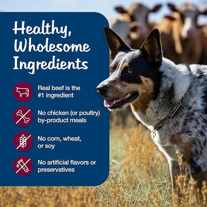 [Blue Buffalo] Beef Stew 12.5-oz. Cans (12 Count)