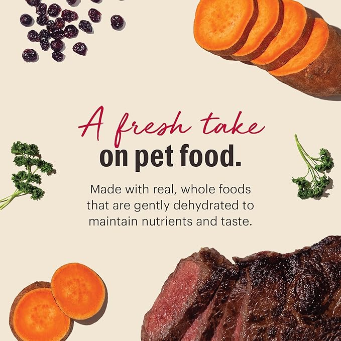 The Honest Kitchen Human Grade Dehydrated Grain Free Dog Food – Complete Meal or Dog Food Topper – Beef 10 lb (makes 40 lbs)