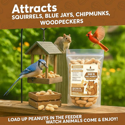 5 LB - Raw Peanuts For Squirrels, Raw In Shell Peanuts For Birds and Wildlife- Squirrel Food, Wild Bird Seed - Grown in The USA