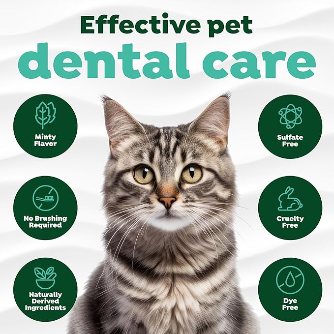 TropiClean Fresh Breath Cat Toothpaste for Teeth Cleaning, Breath Freshener, Easy to Use Plaque & Tartar Remover Gel, No Toothbrush Needed, 2oz.