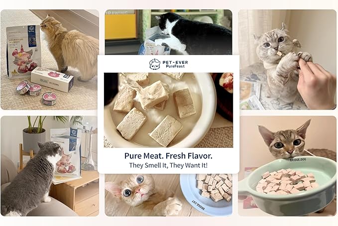 Freeze-Dried Raw Cat Food, 97% Animal Origin Dry Food for Cat, High Protein Treat & Topper (Rabbit Recipe - 14 Ounce)