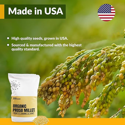 Wildlife Organic White Millet for Bird Feeding and Wildlife Bird attracting, Non-GMO and USA Grown, 25 lbs