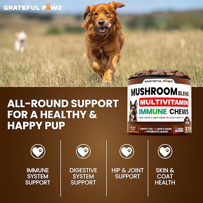 Mushroom Supplement for Dogs - 170 Chews - Mushrooms for Dogs - Turkey Tail, Reishi, Lion’s Mane, Glucosamine Multivitamin - Immune Booster, Gut, Hip & Joint Health Support Vitamins, Energy & Skin