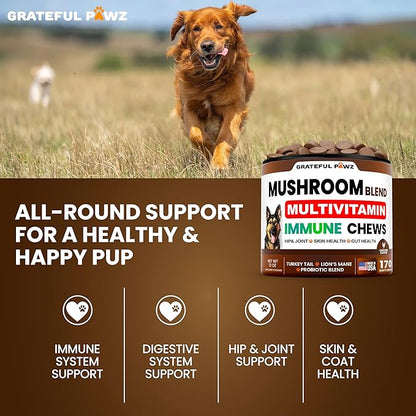 Mushroom Supplement for Dogs - 170 Chews - Mushrooms for Dogs - Turkey Tail, Reishi, Lion’s Mane, Glucosamine Multivitamin - Immune Booster, Gut, Hip & Joint Health Support Vitamins, Energy & Skin