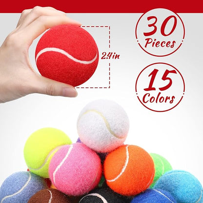 Yunsailing 30 Pieces Dog Tennis Balls Bulk 2.5 Inch Tennis Balls for Dogs Colored Mini Pet Toy Bulk for Large Medium Small Puppy Training Exercis(Multicolor)