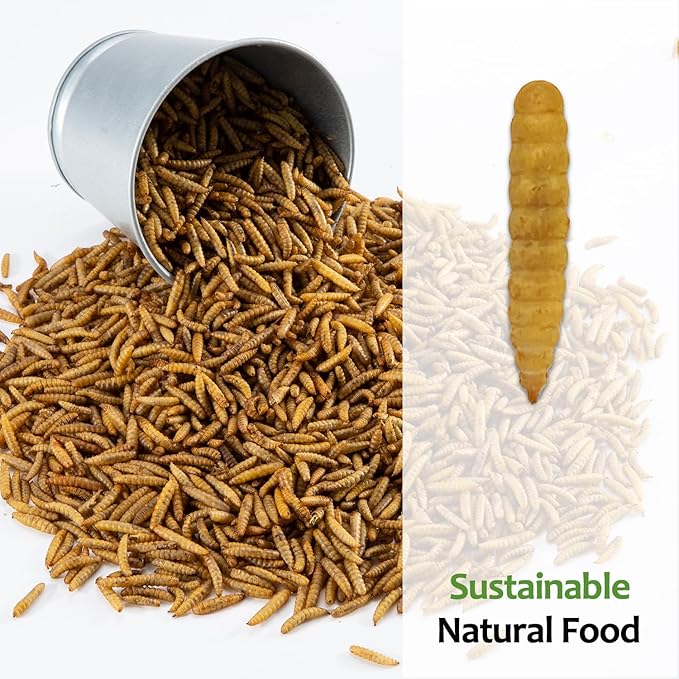 Adaman Dried Black Soldier Fly Larvae 20 LBS-100% Natural Non-GMO BSF Larvae-More Calcium Than Dried Mealworms High-Protein Chickens Treats, Food for Birds, Ducks, Repitle, Hedgehog, Bearded Dragon