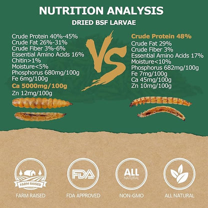 1LB Non-GMO Dried Black Soldier Fly Larvae, Superior Calcium Boost for Chickens, Better Than Dried Mealworms, Poultry Feed Ideal for Molting & Laying Hens, Wild Birds, Ducks | Top Grade BSF