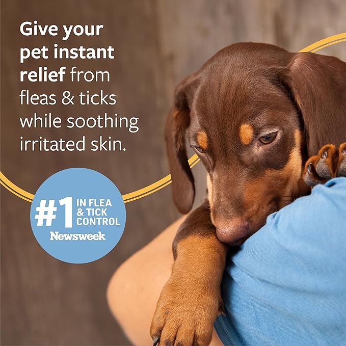 Veterinary Formula Flea and Tick Shampoo for Dogs and Cats, 16 oz