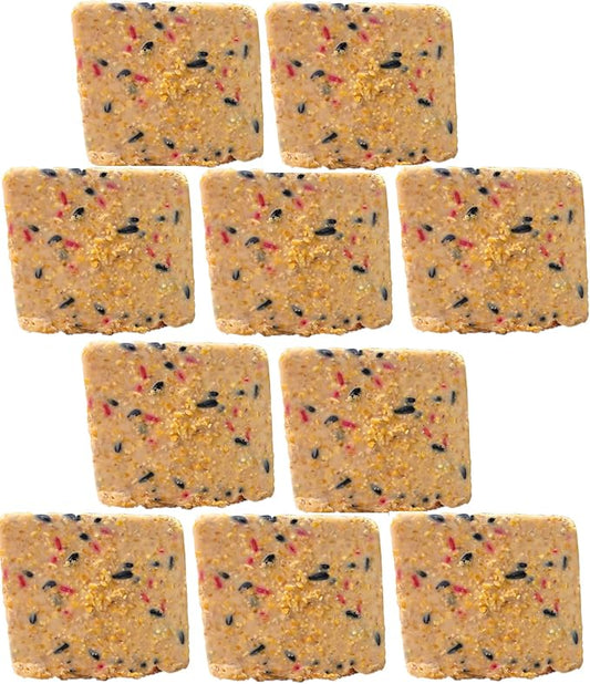 Suet Cake Variety Packs | 10 Berry Suet Cakes for Wild Birds 11 Oz. Each | (Berry, 10 Pack)