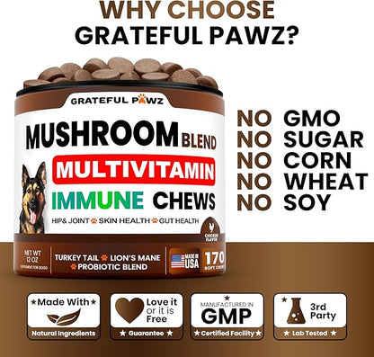 Mushroom Supplement for Dogs - 170 Chews - Mushrooms for Dogs - Turkey Tail, Reishi, Lion’s Mane, Glucosamine Multivitamin - Immune Booster, Gut, Hip & Joint Health Support Vitamins, Energy & Skin