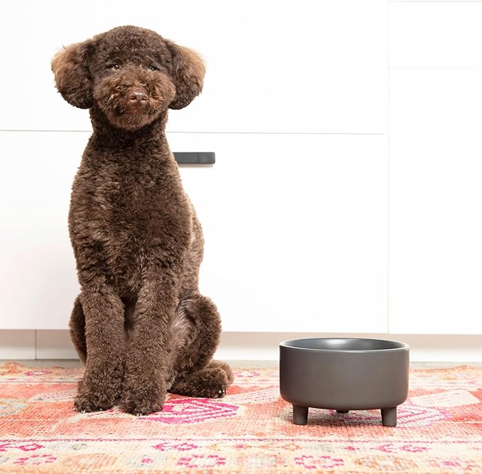Waggo Uplift Ceramic Dog Bowl for Small Medium and Large Breeds - Heavyweight and Durable Pet Food and Water Dish Crock, Dishwasher Safe, Modern, Elevated Feeder (Olive, Large)