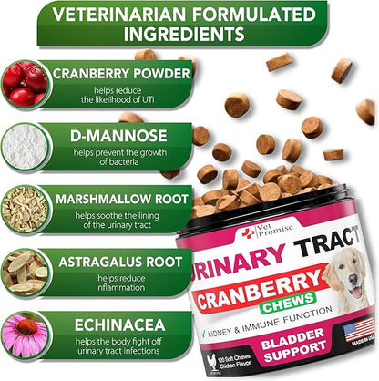 Dog UTI Treatment - Cranberry Supplement for Dogs UTI - Bladder Control - Urinary Tract Infection Treatment Medicine - Cranberry Supplement Vitamins Multivitamin Chews - Made in USA