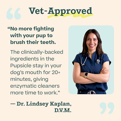 WOOF Dental Kit- Includes Pupsicle Dog Toy, Treat Tray, Shaker Bottle, Chicken Pupsicle Pops, and Dog Teeth Cleaning Powder - Supports Oral Health for Dogs - Large