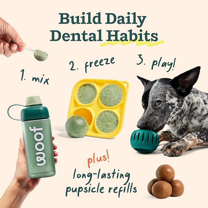 WOOF Dental Kit- Includes Pupsicle Dog Toy, Treat Tray, Shaker Bottle, Chicken Pupsicle Pops, and Dog Teeth Cleaning Powder - Supports Oral Health for Dogs - Small