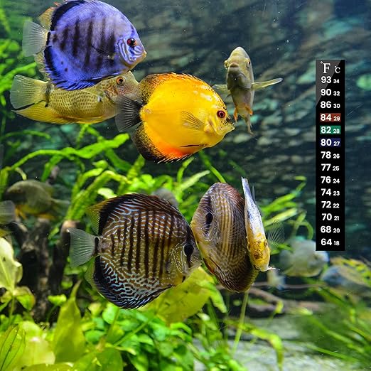 AQUANEAT 6 PCS Aquarium Thermometer Strips, Fish Tank Thermometer Sticker, Terrarium Water Temperature Test (5.13" x 0.71")