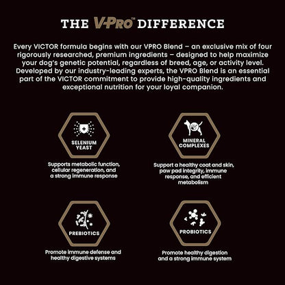 VICTOR Super Premium Dog Food – Professional Dry Dog Food – Super Premium Kibble with 26% Protein – Gluten-Free with Beef, Chicken & Pork Meals – for High Energy and Active Dogs & Puppies, 50lbs