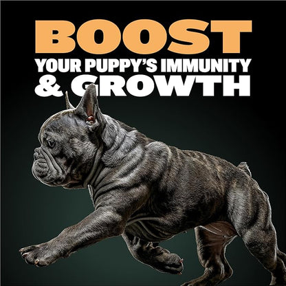 Bully Max Wet Puppy Food - Instant Fresh Dehydrated High Protein Soft Dog Food with Chicken - Healthy Growth for Small & Large Breed - 20 Dry Dog Food Pounds (Makes 55 lbs. Wet Food, 10 Pouches)