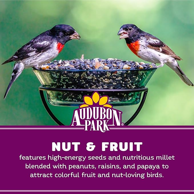 Audubon Park Nut & Fruit Wild Bird Seed – 8 lb. Premium Blend with Sunflower Seeds, Peanuts, Safflower & Dried Fruit – Bird Food for Outside Feeders