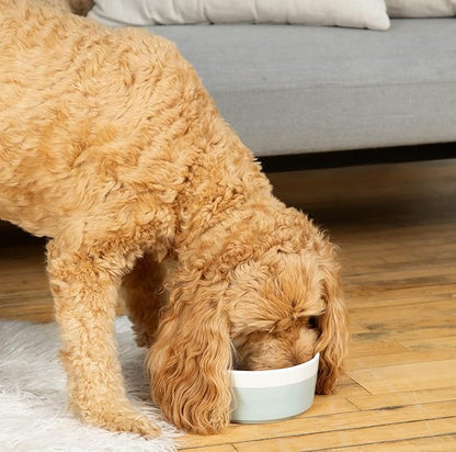 Waggo Dipper Ceramic Dog Bowl for Small and Large Breeds - Heavyweight and Durable Pet Food and Water Dish Crock, Dishwasher Safe, Modern (Medium, Cloud)