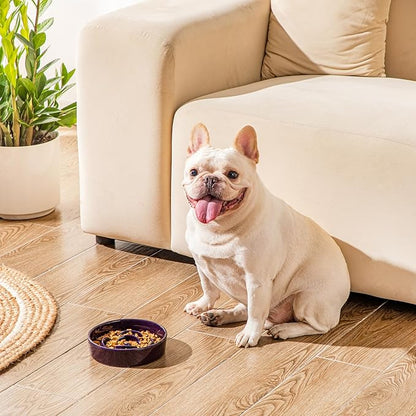 vancasso Slow Feeder Dog Bowl, 0.6 Cups Ceramic Dog Food Dish for Fast Eaters Small Breed, Puzzle Bowl for Small Dogs and Cats, Dark Purple
