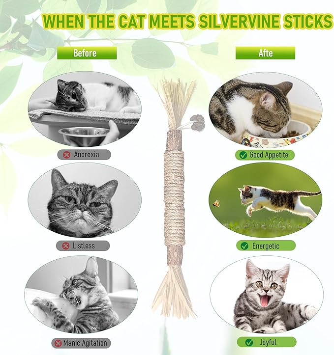 5 Pack Silvervine Cat Toy, Silvervines Sticks Cat Toys for Indoor Cats, Cat & Kitten Chew Toys for Aggressive Chewers, Cat Dental Toy for Kitten Teeth Cleaning, Matatabi Silvervine for Cats