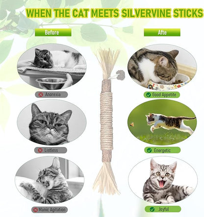 5 Pack Silvervine Cat Toy, Silvervines Sticks Cat Toys for Indoor Cats, Cat & Kitten Chew Toys for Aggressive Chewers, Cat Dental Toy for Kitten Teeth Cleaning, Matatabi Silvervine for Cats