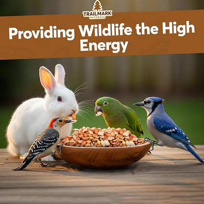 3 LB - Raw Shelled Peanuts For Squirrels, Out of Shell Peanuts For Birds and Wildlife- Squirrel Food, Wild Bird Seed - Grown in The USA