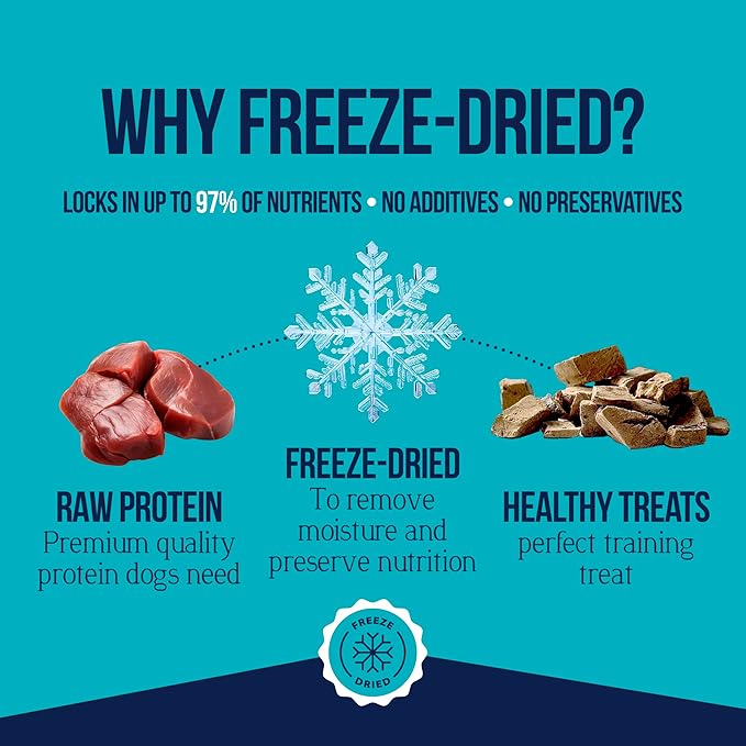 Stewart Single Ingredient Freeze Dried Raw Dog Treats, Beef Liver, 4 Ounce, Approx. 90 Pieces per Resealable Pouch, Training Treats or Meal Topper, High Protein, Grain Free, Gluten Free