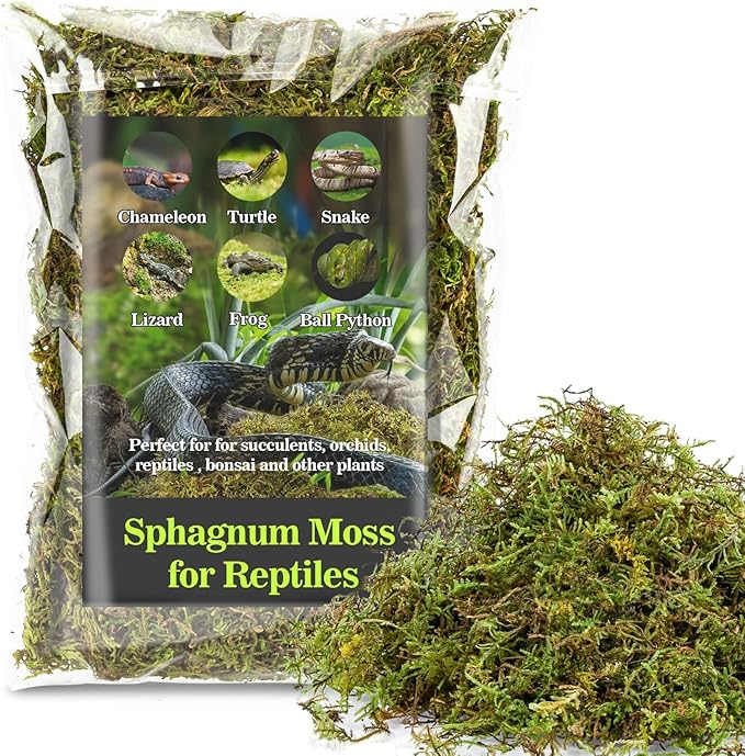 Sukh Sphagnum Moss for Reptiles -Terrarium Moss for Reptiles Peat Moss for Reptiles Habitat Bedding Moss for Snakes Turtle Frog Gecko and Other Reptiles Substrate (11.2, Ounces)