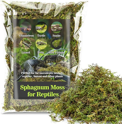 Sukh Sphagnum Moss for Reptiles -Terrarium Moss for Reptiles Peat Moss for Reptiles Habitat Bedding Moss for Snakes Turtle Frog Gecko and Other Reptiles Substrate (11.2, Ounces)