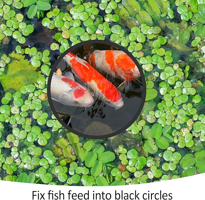 10 Pcs Fish Feeding Rings Set 5 Sizes Aquarium Round Feeder Ring for Fish Tank Aquarium Floating Plant Corral for Intercepts Floating Plants Black
