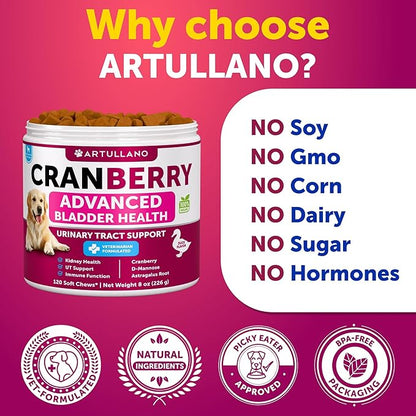 Dog UTI Treatment - Cranberry Supplement and Bladder Control for Dogs - UTI Chewable Treats (2 Pack) - 240 Chews for Kidney Support - Bladder Stones - Urinary Tract Infection Incontinence Treatment