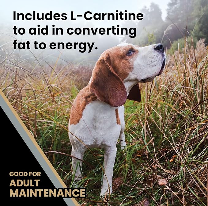 VICTOR Super Premium Dog Food – Purpose – Senior Healthy Weight Management – Dry Dog Food for Adult Dogs – Gluten Free with Glucosamine and Chondroitin, for Hip and Joint Health, 40lbs