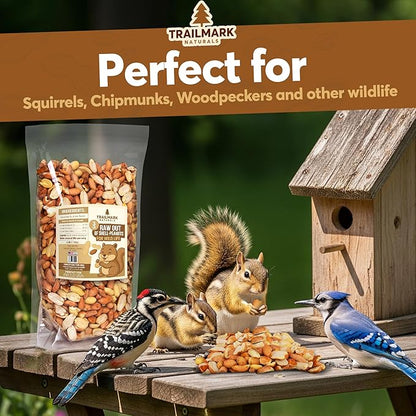 8 LB - Raw Shelled Peanuts For Squirrels, Out of Shell Peanuts For Birds and Wildlife- Squirrel Food, Wild Bird Seed - Grown in The USA