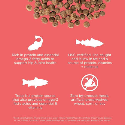 Go! Solutions Carnivore, Grain-Free, Protein Rich Dry Cat Food, Salmon and Cod Recipe, 16 lb Bag
