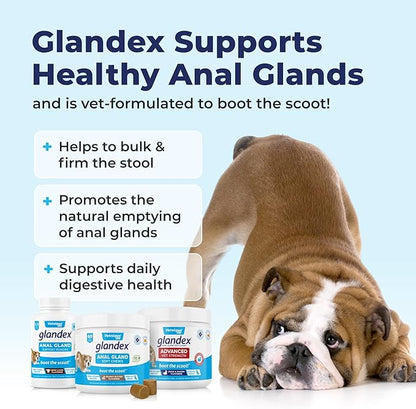 Vetnique Labs Glandex Anal Gland Soft Chew Treats with Pumpkin for Dogs Digestive Enzymes, Probiotics Fiber Supplement for Dogs Boot The Scoot (Bacon/Pork Chews, 30 Count)