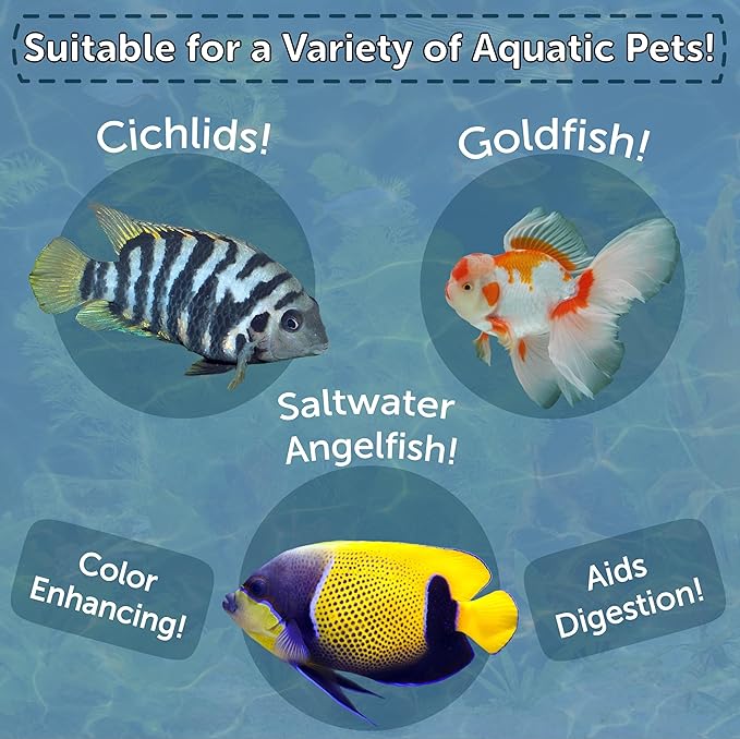 Aquatic Foods Inc. Brine Shrimp, Freeze Dried Floating Brine Cubes for Cichlids, Discus, Tetras, Goldfish, Bettas, Angel Fish, Marines, All Tropicals, Aquatic Turtles 2.45oz Canister