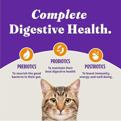 Halo Holistic Cage Free Chicken Cat Food, Grain Free Dry Cat Food, For Healthy Weight Support, Kibble for Indoor Cats, 6 lb Bag