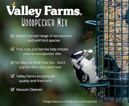 Valley Farms Woodpecker Mix, No Mess Bird Seed for Outdoor Feeders, W/Peanuts and Sunflower Hearts for Birds, Woodpecker Food, Attract All Bird Species (4 LBS)