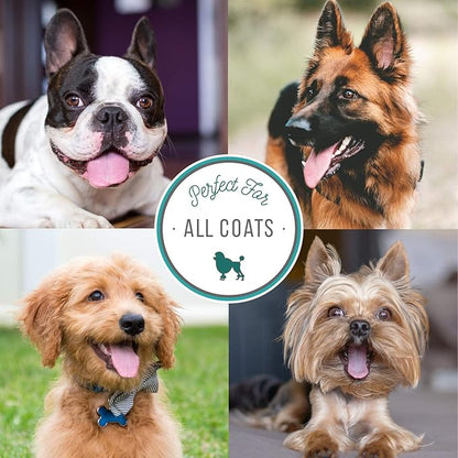 Nature's Specialties Dog Cologone 8 oz. Bundle - Almond Essence Cologne, Almond Scent, Ready to Use, Finishing Spray + Island Coconut Mist, Pina Coloda Scent, Ready to Use, Finishing Spray