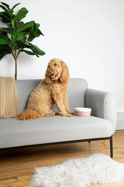 Waggo Dipper Ceramic Dog Bowl for Small and Large Breeds - Heavyweight and Durable Pet Food and Water Dish Crock, Dishwasher Safe, Modern (Mint, Medium)