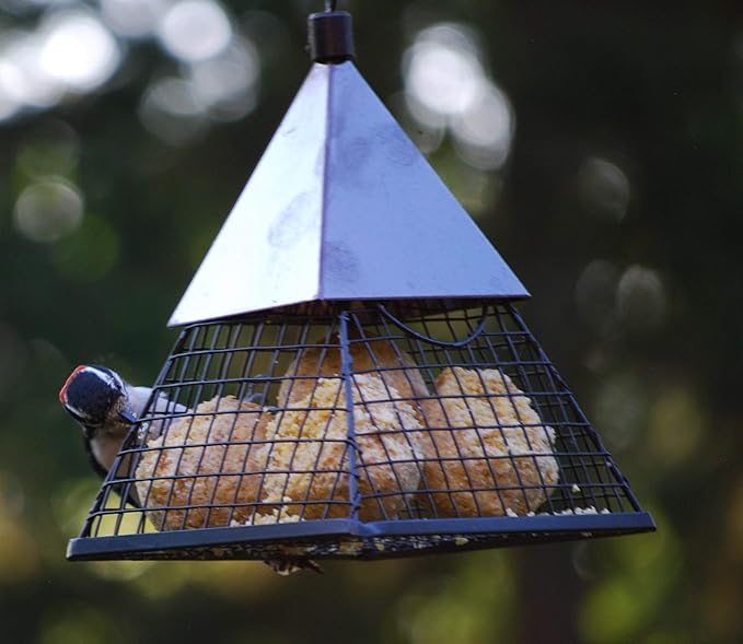 Wildlife Sciences Suet Balls 24 Pack, 6 Individually Wrapped Packs of 4 Bird Suet Balls (Fruit & Nut)