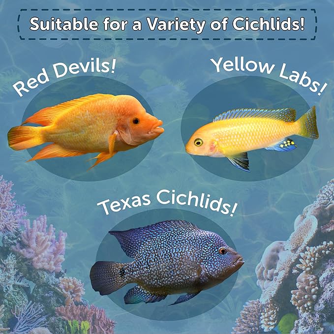 Aquatic Foods Inc. Cichlid Green Growth & Red Color Enhancing Flakes for Cichlids, Central & South American Cichlids, 4-Type Wafer Mix & 12-Type Pellet Mix Included 1.30oz Canister