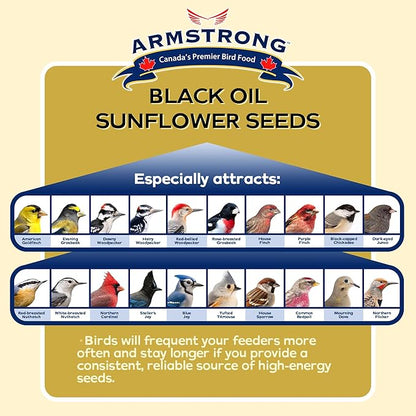 Armstrong Wild Bird Food Black Oil Sunflower Bird Seed, 25 Pounds - for Northern Cardinals, Blue Jays and Hairy Woodpeckers - Ideal for Outside Feeders