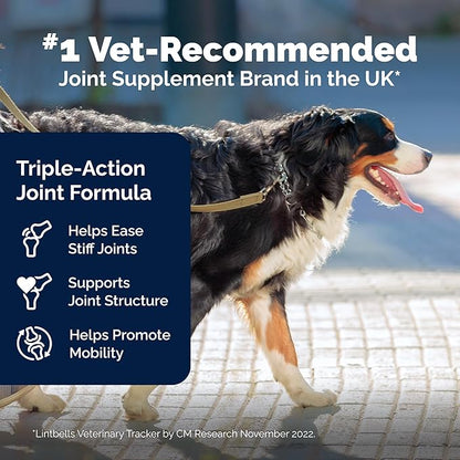 YuMOVE Hip & Joint Supplement for Dogs - with Glucosamine Chondroiton, Green Lipped Mussel, Hyaluronic Acid, and Omega 3 Joint Supplement for Stiffness and Mobility 60 Chews (Large/XL Dogs)