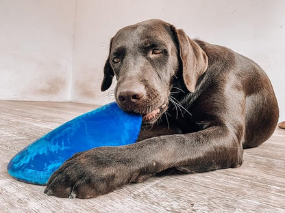 SuperChewy Tough Flying Disc Toy | Lifetime Replacement | Strong Natural Rubber | Great Dog Fetch Toys | Rubber Disc Toy for Dogs | Ultra Durable Chew Toys for Aggressive Chewers | for All Breeds